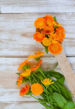 Tahta bir kaşıkta, beyaz bir masada bir buket çiçeğin yanında taze bir takvim. Alternatif tıp konsepti, doğal kozmetik, aromaterapi, homeopati, şifalı otlar ve bitkiler