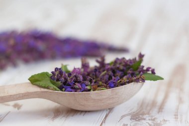 Ahşap bir kaşıkta adaçayı çiçekleri. Homeopati, aromaterapi, doğal kozmetik....