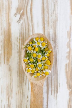 Papatya çiçekli ahşap kaşık. Alternatif tıp konsepti, doğal kozmetik, aromaterapi, homeopati, şifalı otlar ve bitkiler