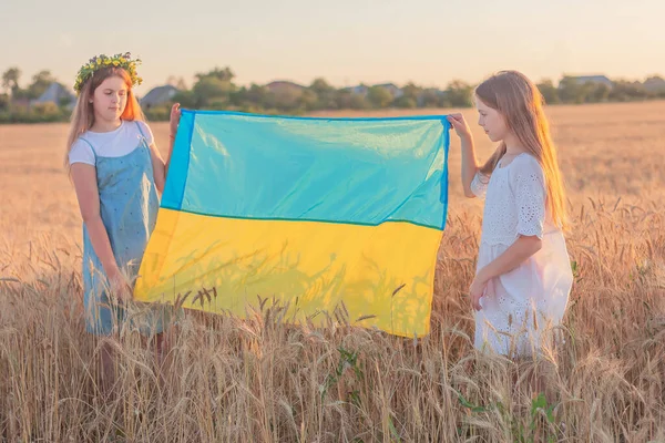 Две Милые Девушки Держащие Качестве Знамена Синий Желтый Украинский Национальный — стоковое фото