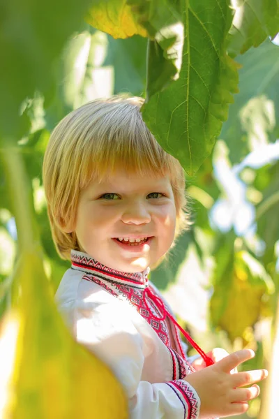Retrato Menino Sorridente Ucraniano Camisa Bordada Entre Plantas Dia Independência — Fotografia de Stock