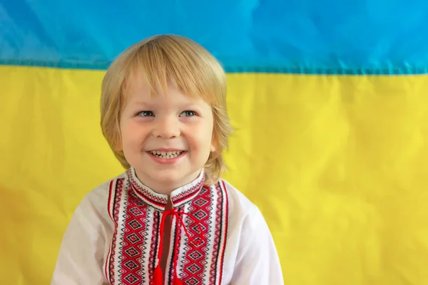 Geleneksel Folklor Işlemeli Tişörtlü Gülümseyen Çocuk Sarı Bayraklı Mavi Bir — Stok fotoğraf