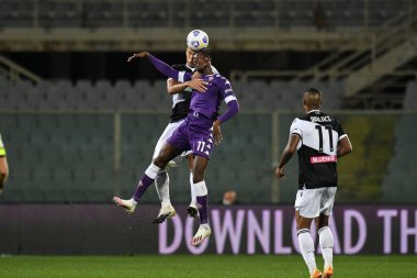 ACF Fiorentina, Udinese Calcio 'ya karşı Floransa, İtalya' daki Artemio Franchi Stadyumu 'nda 25 Ekim 2020 - LM / Matteo Papini