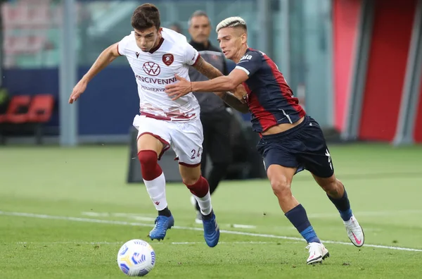 Nicolas Dominguez Bologna Enrico Delprato Reggina Azione Durante Partita Calcio — Foto Stock