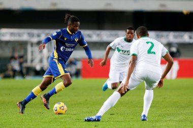 Adrien Tameze (Hellas Verona FC) Hellas Verona-Sassuolo maçında - İtalyan futbolcu Serie A karşılaşması Verona, İtalya - 22 Kasım 2020