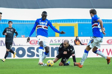 OMAR COLLEY (Sampdoria), Rodrigo Palacio (Bologna), BARTOSZ BERZYNSKI (Sampdoria vs Bologna) - İtalya Serie A maçı, 22 Kasım 2020 - Fotoğraf: LM / Danilo Vigo