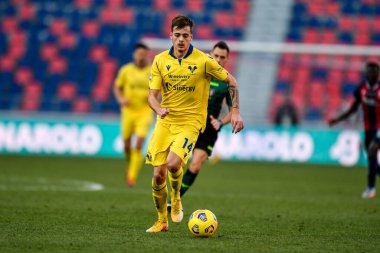 İvan İliç (Hellas Verona) Bologna FC 'nin Hellas Verona' ya karşı oynadığı maçta - İtalyan futbolu Serie A karşılaşması Bologna, İtalya, 16 Ocak 2021 - Fotoğraf: LM / Alessio Marini