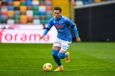 Piotr Zielinski (Napoli) Udinese Calcio - SSC Napoli maçı sırasında portre - İtalyan futbolu Serisi A karşılaşması IN Udine, İtalya, 10 Ocak 2021 - Fotoğraf: LM / Ettore Griffoni