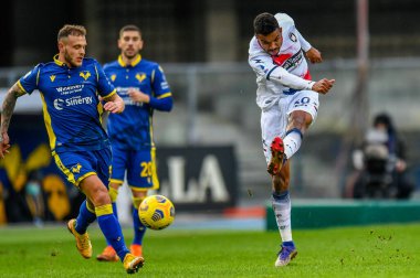 Hellas Verona-FC Crotone maçında Junior Messias 'ın (FC Crotone) çekimi - İtalyan Serie A maçı Verona, İtalya, 10 Ocak 2021 - Fotoğraf: LM / Alessio Marini