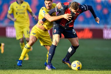Bologna FC 'nin Hellas Verona' ya karşı oynadığı maçta Mattias Svanberg faulü (Bologna FC) - İtalyan Serie A maçı IN Bologna, İtalya, 16 Ocak 2021 - Fotoğraf: LM / Alessio Marini
