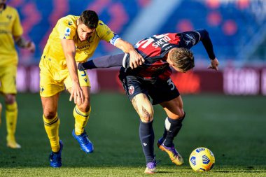 Bologna FC 'nin Hellas Verona' ya karşı oynadığı maçta Mattias Svanberg faulü (Bologna FC) - İtalyan Serie A maçı IN Bologna, İtalya, 16 Ocak 2021 - Fotoğraf: LM / Alessio Marini