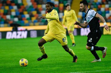 Adrien Tameze (Hellas Verona FC) İtalyan futbolu Serie A maçı sırasında Udinese Calcio, Hellas Verona FC 'ye karşı Friuli - Dacia Arena stadyumu, Udine, İtalya - 7 Şubat 2021 - Kredi: LiveMedia / Alessio Marini
