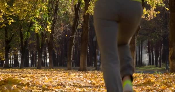 Бегун бегает в солнечном ярком свете в осеннем парке — стоковое видео