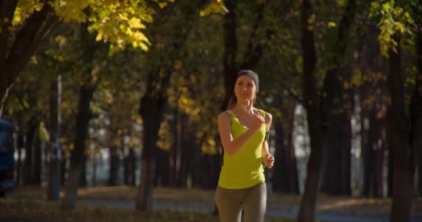Loper joggen in herfst park — Stockvideo
