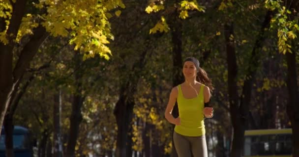 Corridore jogging nel parco autunnale — Video Stock