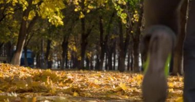 Sonbahar Park'ta jogging runner 