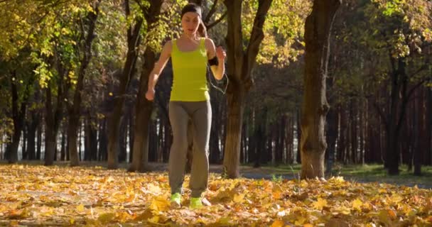 Löpare jogging i höst park — Stockvideo
