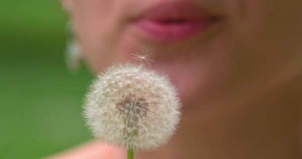 Diente de león soplado por la mujer — Vídeos de Stock