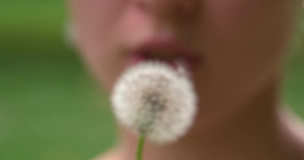 Dente de leão soprado por mulher — Vídeo de Stock