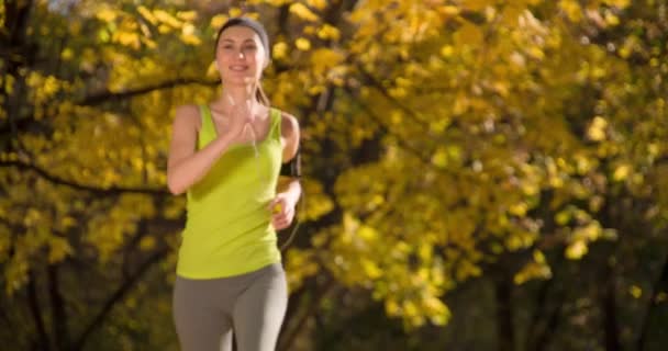 Runner jogging in autumn park — Stock Video