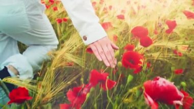 Womans walking through red poppy