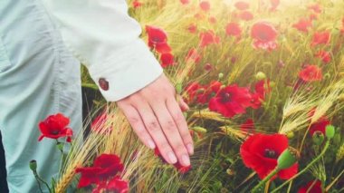 Womans walking through red poppy