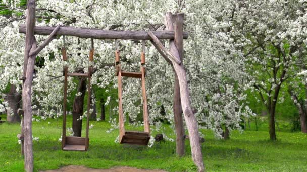 Columpios en el parque de primavera — Vídeos de Stock