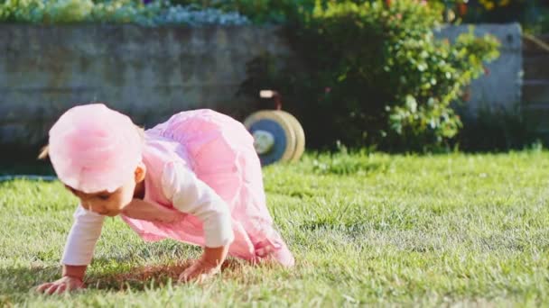 Bébé-fille rampant à la pelouse verte — Video