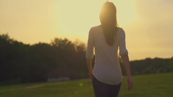 Woman walking away on summer meadow — Stockvideo