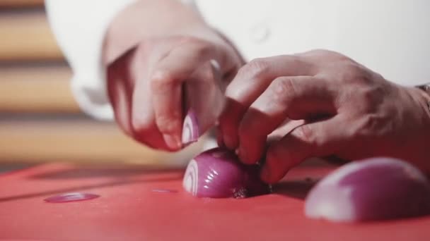 Chef cutting onion with knife — Stock Video