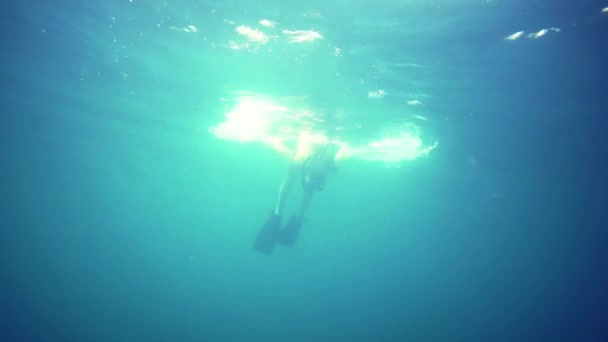 Jeune femme plongée en apnée dans l'eau bleue — Video