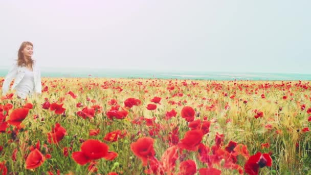 Woman running through poppies field — Stock Video