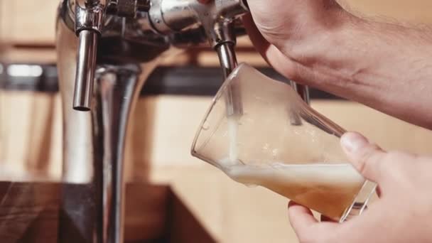 Les mains du barman versant une pinte de bière — Video