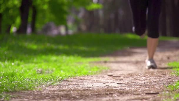 Kırsal yolda koşan koşucu ayakları — Stok video