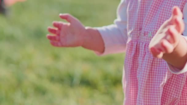 Mignon bébé fille applaudissements mains — Video