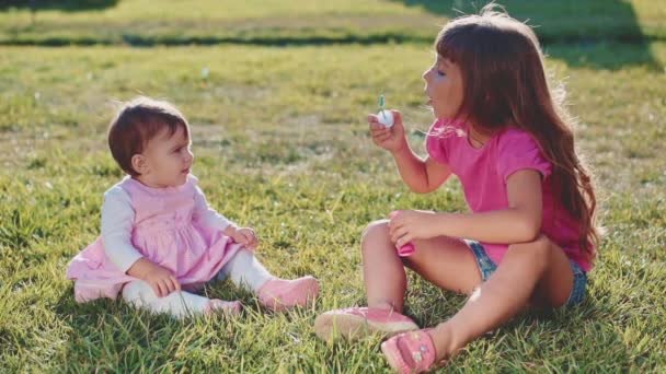 Two little girls playing on lawn — Stock Video