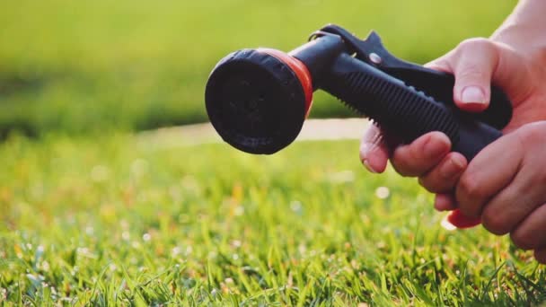 Watering green grass — Stock Video