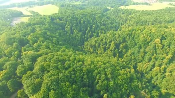 Vista aérea del castillo medieval de Ksiaz — Vídeos de Stock