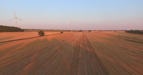 Tiro aéreo de molinos de viento generadores de energía — Vídeos de Stock