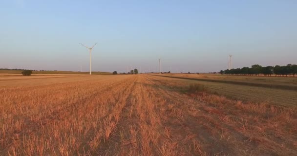 Vue aérienne des éoliennes génératrices d'énergie — Video