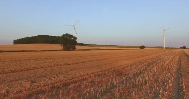 Tiro aéreo de molinos de viento generadores de energía — Vídeos de Stock