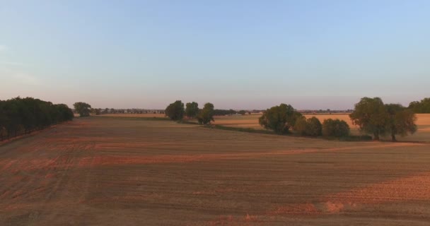 Vue aérienne des éoliennes génératrices d'énergie — Video