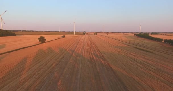 Vue aérienne des éoliennes génératrices d'énergie — Video