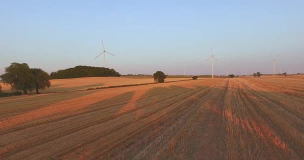 Luftaufnahme von Windrädern zur Stromerzeugung — Stockvideo