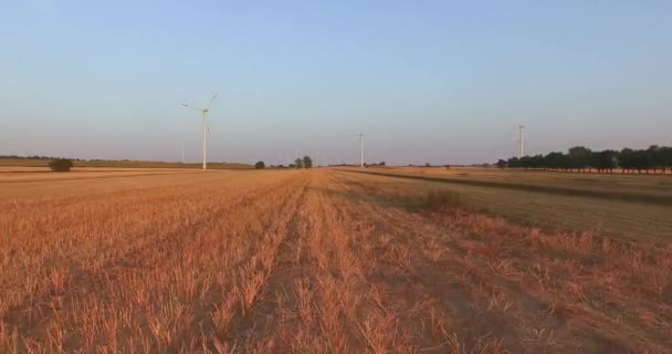 Luftaufnahme von Windrädern zur Stromerzeugung — Stockvideo
