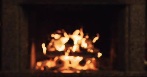 Couple toasting with champagne by cozy fireplace — Stock Video