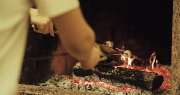Rodzina prażenie marshmallows przez ogień — Wideo stockowe