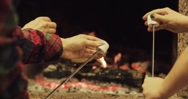 Malvaviscos tostados familiares por el fuego — Vídeos de Stock