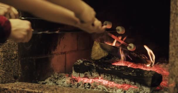 Family roasting marshmallows by fire — Stock Video