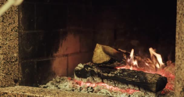 Семья жарит зефир при пожаре — стоковое видео